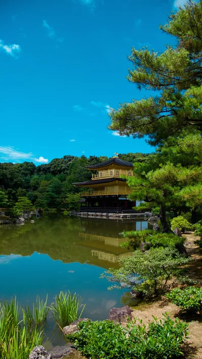 A photograph of Kinkaku-ji (the Golden Pavilion), a three-story gold-covered Japanese Buddhist temple, reflected in a calm pond and surrounded by manicured pine trees and green shrubs under a bright blue sky in Kyoto, Japan.